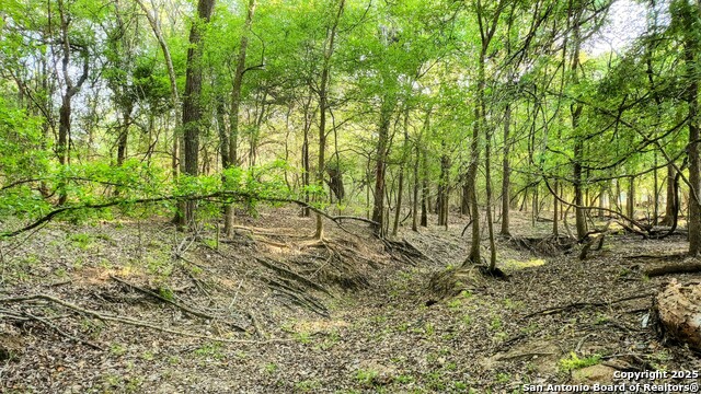 Image 21 of 23 For 575 Rohlf Rd.