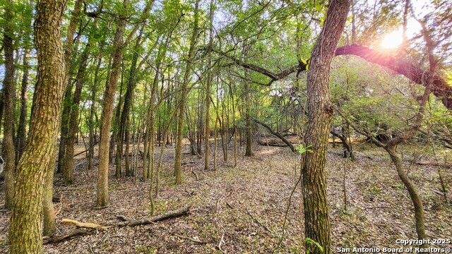 Image 22 of 23 For 575 Rohlf Rd.