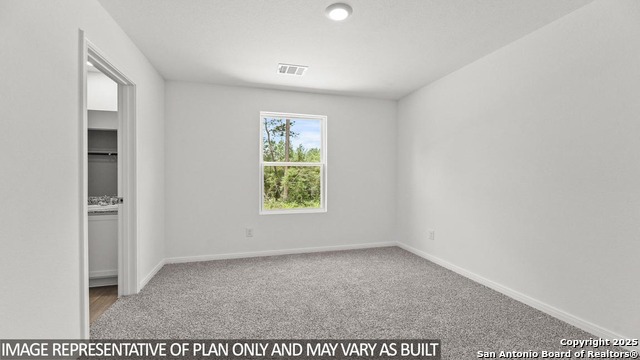 Image 11 of 19 For 2059 Organ Pipe Cactus