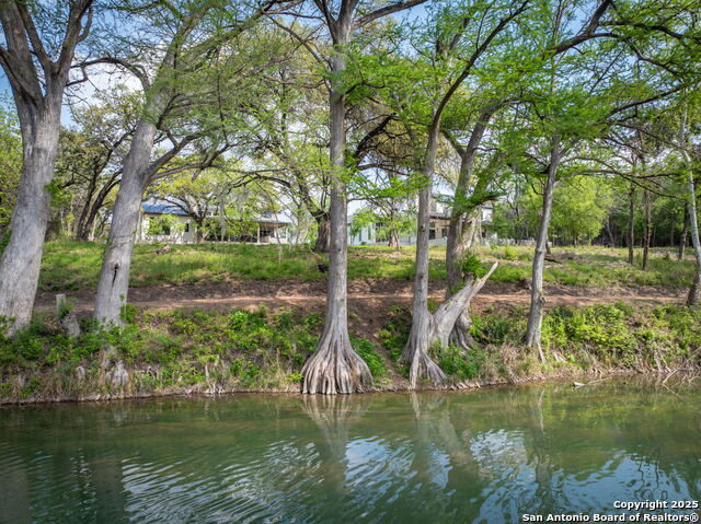 Listing photo id 9 for 232 Riverfront