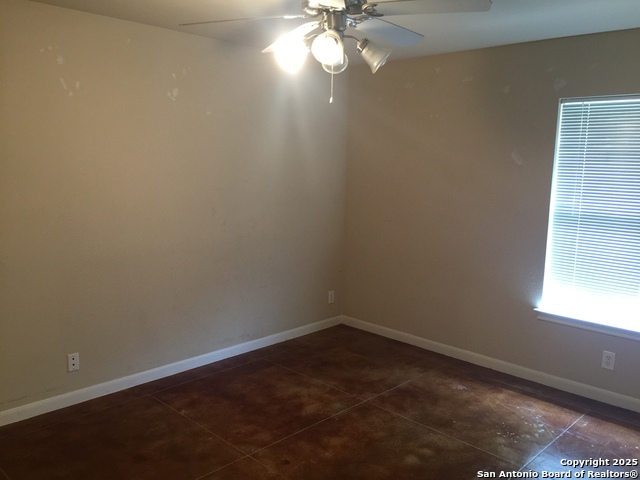 Image 10 of 12 For 3031 Douglas Fir