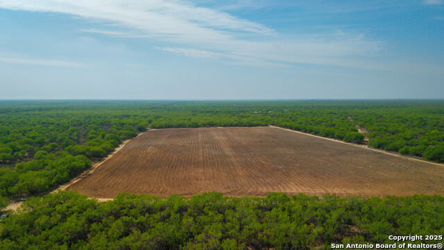 Listing photo id 18 for 5001 Fm 1407