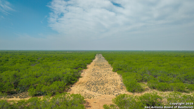 Listing photo id 19 for 5001 Fm 1407