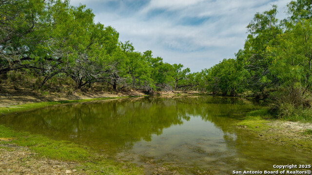 Listing photo id 20 for 5001 Fm 1407
