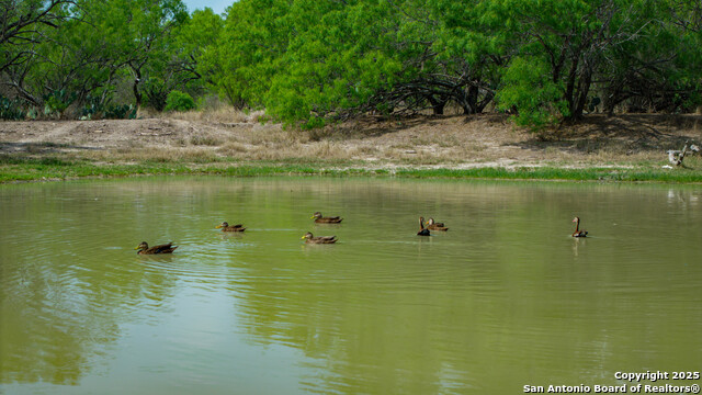 Listing photo id 26 for 5001 Fm 1407