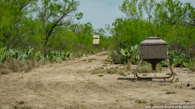 Listing photo id 27 for 5001 Fm 1407