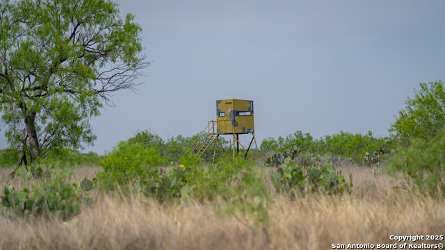 Listing photo id 39 for 5001 Fm 1407