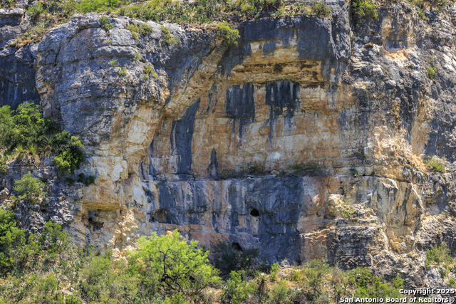 Image 33 of 62 For 256 Persimmon Point