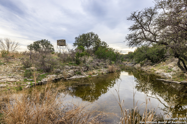Image 35 of 62 For 256 Persimmon Point