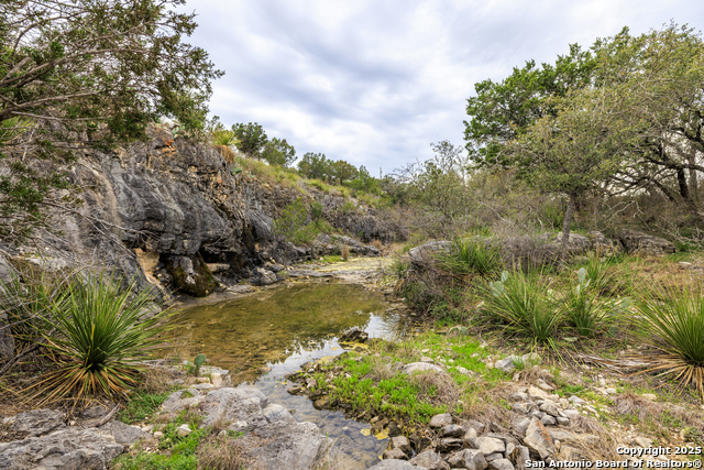Image 36 of 62 For 256 Persimmon Point