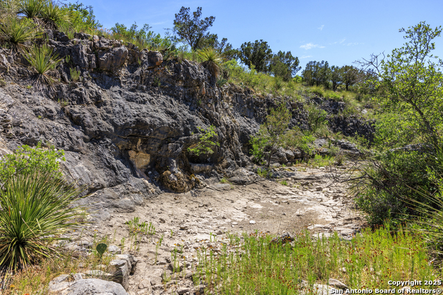 Image 37 of 62 For 256 Persimmon Point