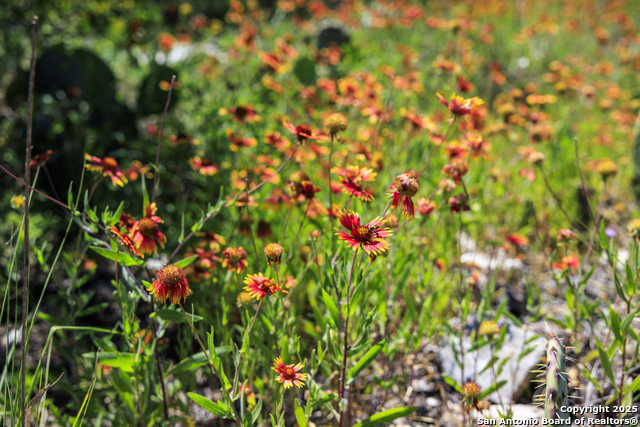 Image 40 of 62 For 256 Persimmon Point