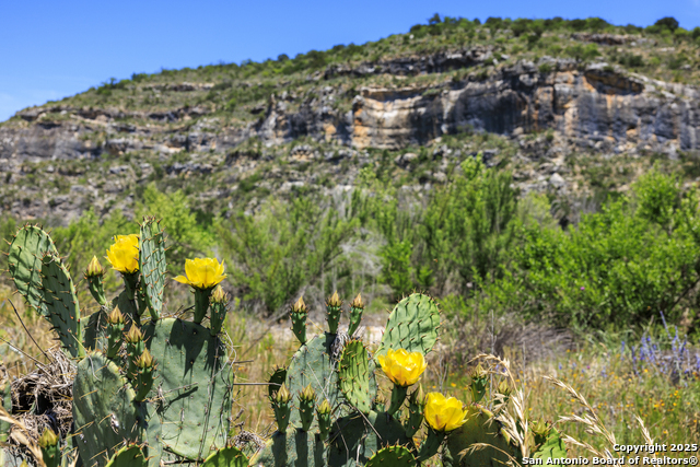 Image 41 of 62 For 256 Persimmon Point