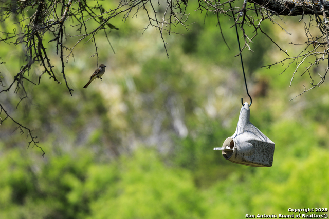 Image 43 of 62 For 256 Persimmon Point