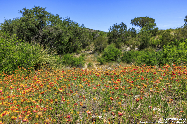 Image 58 of 62 For 256 Persimmon Point
