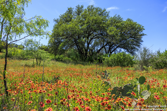 Image 59 of 62 For 256 Persimmon Point