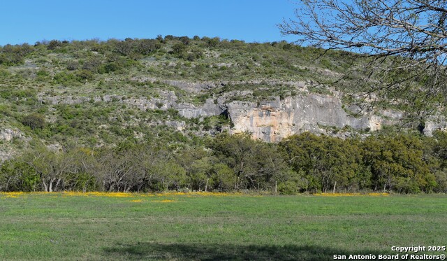 Image 8 of 62 For 256 Persimmon Point