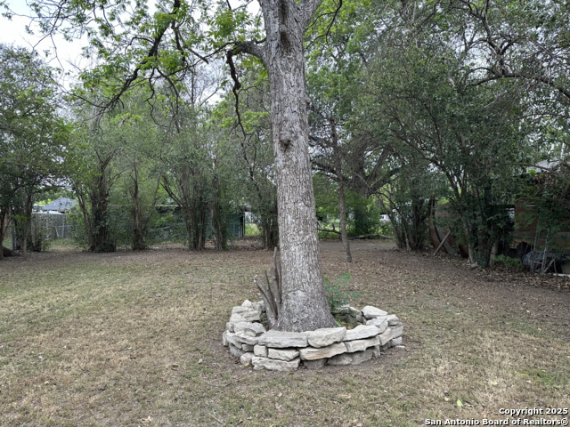 Image 13 of 15 For 833 Gladstone