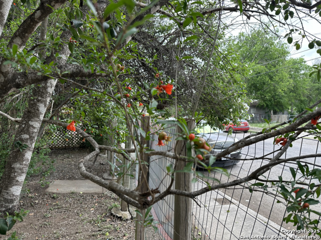 Image 6 of 15 For 833 Gladstone