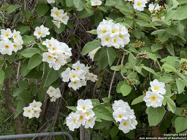 Image 8 of 15 For 833 Gladstone