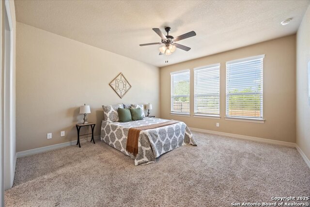 Listing photo id 17 for 3903 Brazos Bend