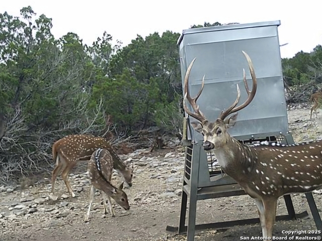 Details for Tbd West Nueces Ranch, Lot 20, Rocksprings, TX 78880