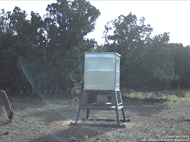 Listing photo id 8 for Tbd West Nueces Ranch, Lot 20