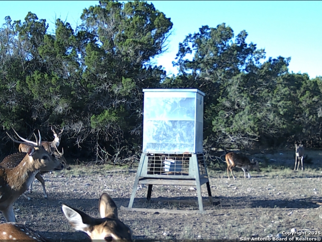 Listing photo id 9 for Tbd West Nueces Ranch, Lot 20