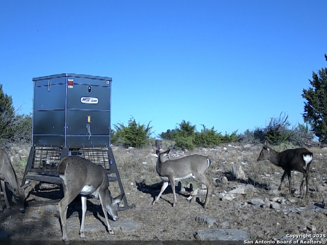 Listing photo id 3 for Tbd West Nueces Ranch, Lot 20