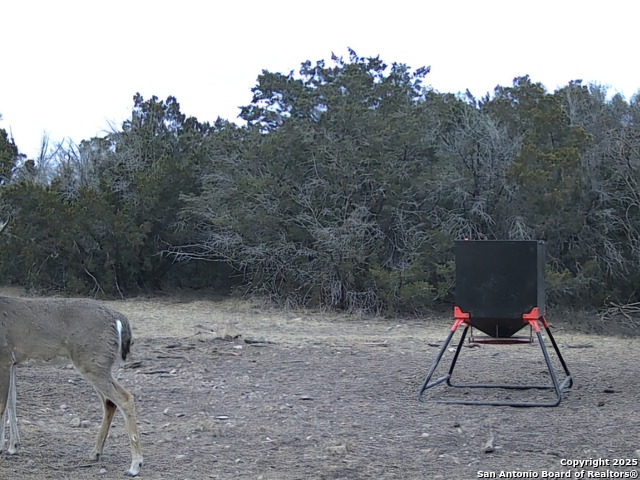 Listing photo id 5 for Tbd West Nueces Ranch, Lot 20