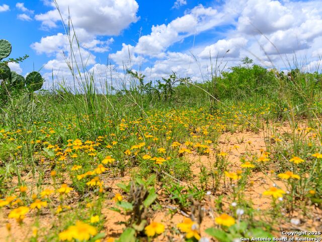 Image 9 of 50 For 200-236 Fm 3252