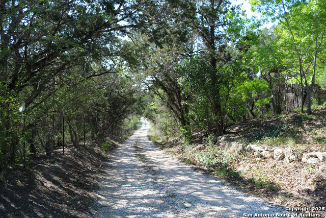 Listing photo id 7 for 17245 Nacogdoches