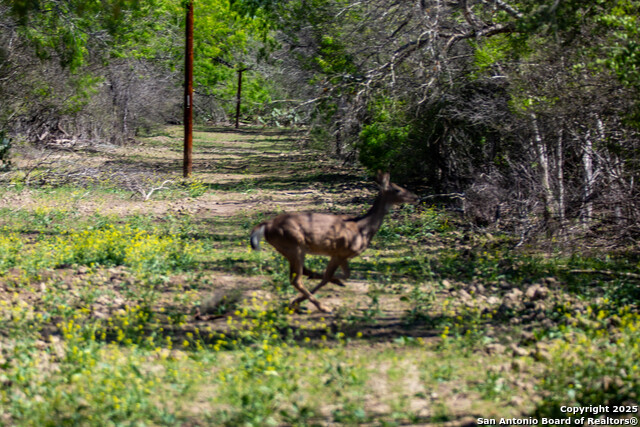 Listing photo id 8 for 8016 Fm 1303
