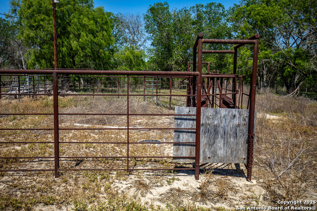 Listing photo id 14 for 8016 Fm 1303