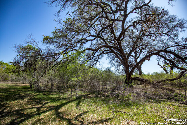 Listing photo id 18 for 8016 Fm 1303