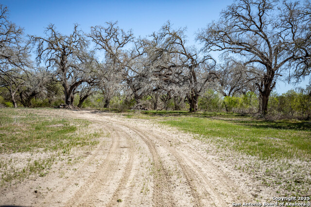Listing photo id 19 for 8016 Fm 1303