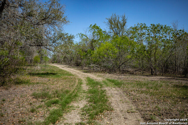 Listing photo id 22 for 8016 Fm 1303