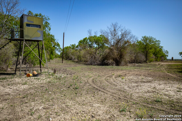 Listing photo id 24 for 8016 Fm 1303