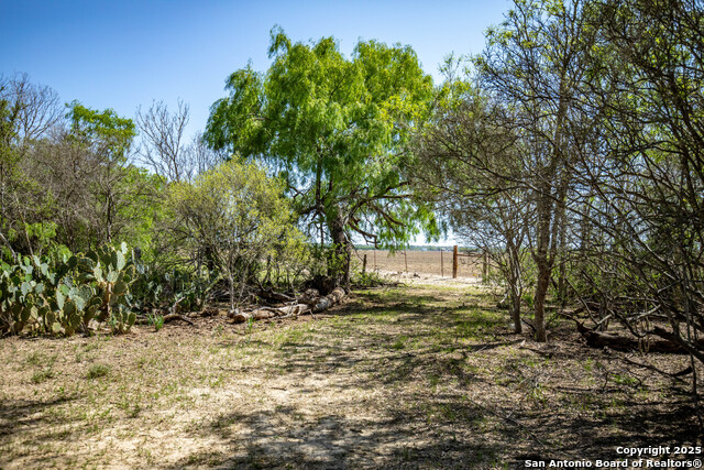 Listing photo id 25 for 8016 Fm 1303