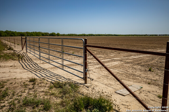 Listing photo id 29 for 8016 Fm 1303