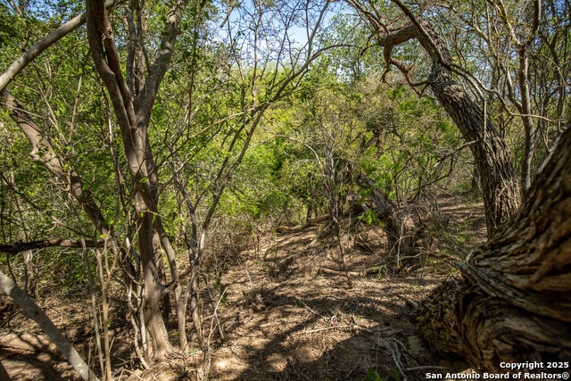 Listing photo id 31 for 8016 Fm 1303
