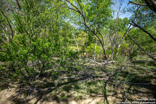 Listing photo id 33 for 8016 Fm 1303