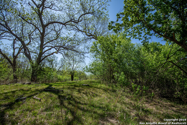 Listing photo id 34 for 8016 Fm 1303