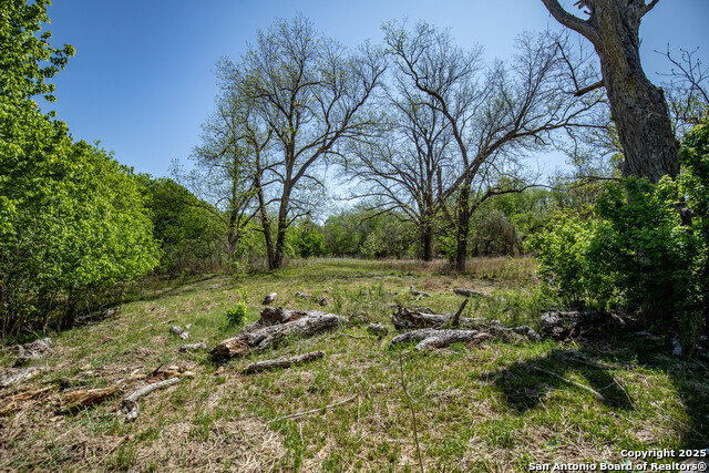 Listing photo id 35 for 8016 Fm 1303