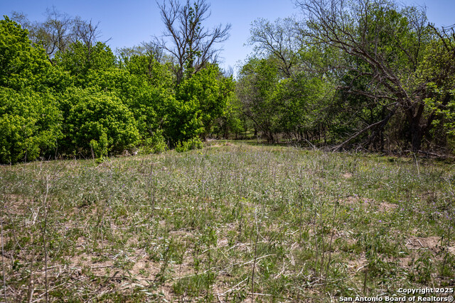 Listing photo id 36 for 8016 Fm 1303