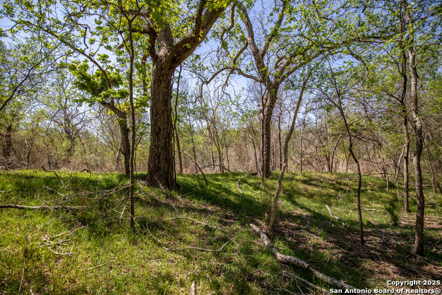 Listing photo id 37 for 8016 Fm 1303