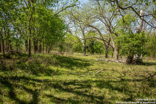 Listing photo id 38 for 8016 Fm 1303