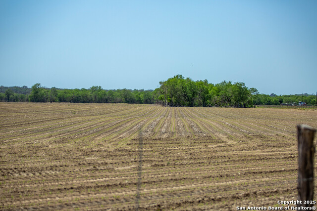 Listing photo id 46 for 8016 Fm 1303