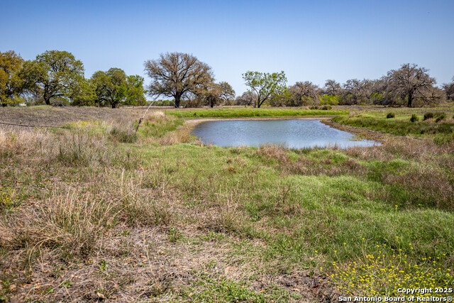 Listing photo id 6 for 8016 Fm 1303