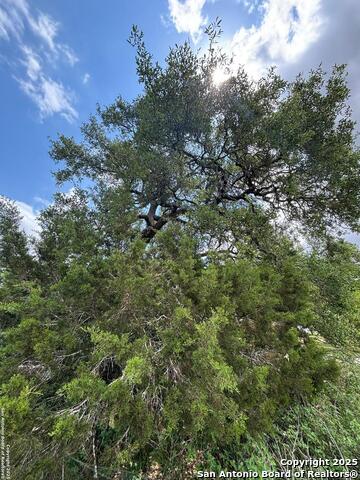 Image 8 of 12 For 1086 Provence Pl